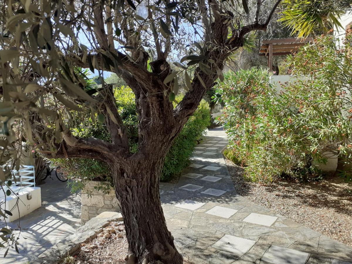 Vigla-Βίγλα 1 2 Villa Ormos  Dış mekan fotoğraf