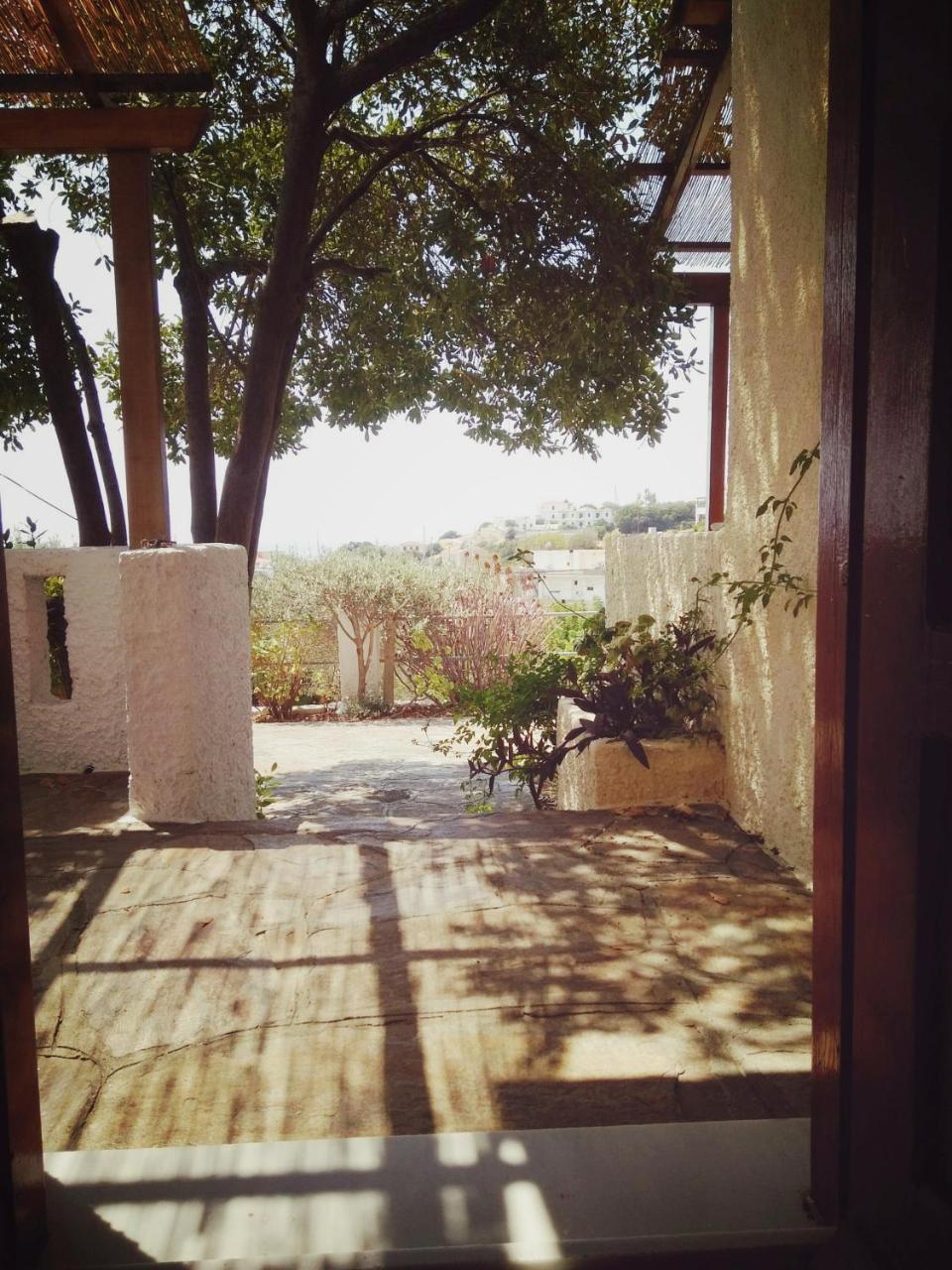 Vigla-Βίγλα 1 2 Villa Ormos  Dış mekan fotoğraf