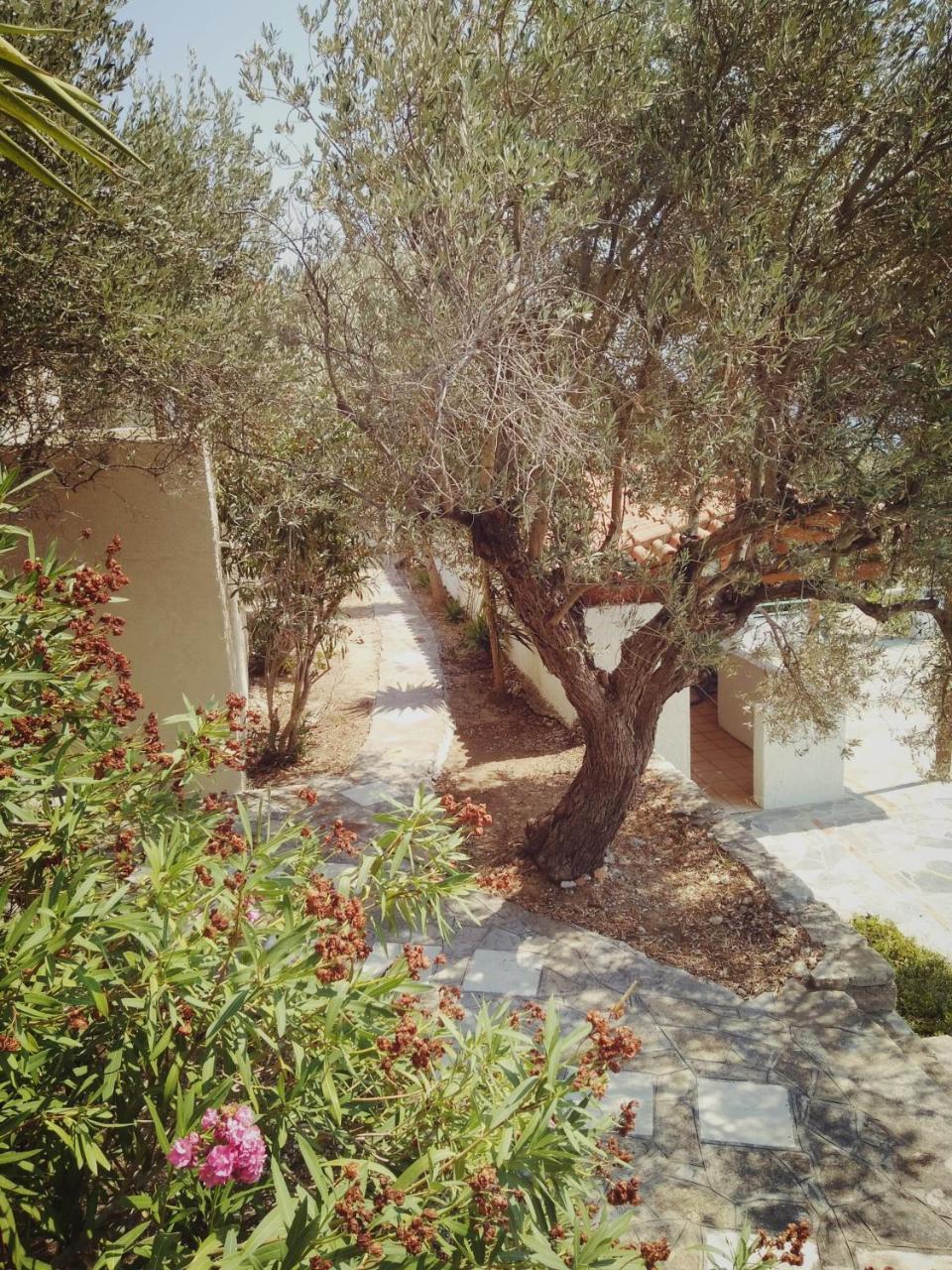 Vigla-Βίγλα 1 2 Villa Ormos  Dış mekan fotoğraf
