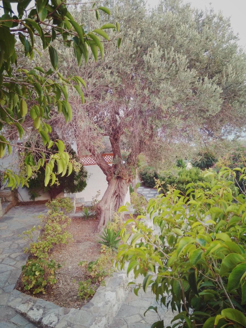 Vigla-Βίγλα 1 2 Villa Ormos  Dış mekan fotoğraf