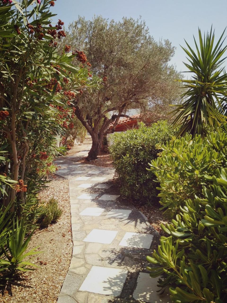 Vigla-Βίγλα 1 2 Villa Ormos  Dış mekan fotoğraf